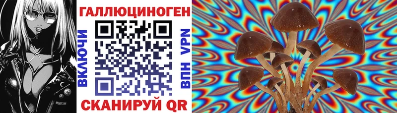 где можно купить наркотик  Оханск  Галлюциногенные грибы GOLDEN TEACHER 